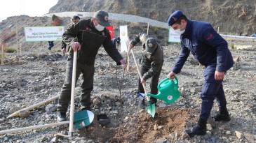Artvin’de 26 bin meyve fidanı toprakla buluşturuldu