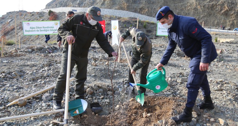 Artvin’de 26 bin meyve fidanı toprakla buluşturuldu
