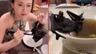 Virüs Wuhan’daki hayvan pazarından değil Çin’e ait bir laboratuvardan sızdı