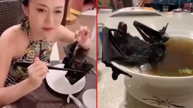 Virüs Wuhan’daki hayvan pazarından değil Çin’e ait bir laboratuvardan sızdı