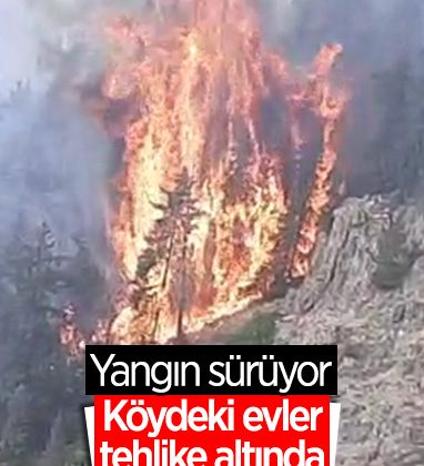 Artvin’de ormana düşen yıldırım yangın çıkardı