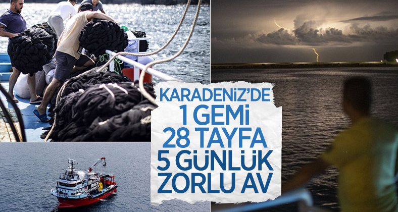 Balıkçıların denizde 5 günlük zorlu mesaisi