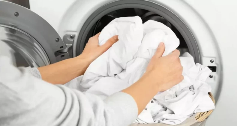 Çamaşır makinesine 8 tane kestane atın, bakın neler oluyor