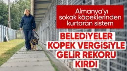 Almanya, ‘köpek vergisi’ rekoru kırdı