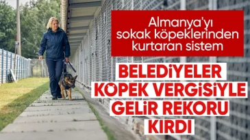 Almanya, ‘köpek vergisi’ rekoru kırdı
