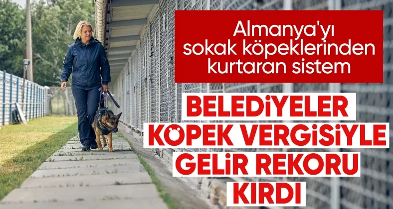 Almanya, ‘köpek vergisi’ rekoru kırdı