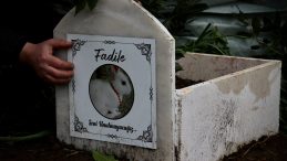Ölen tavşanları “Fadile” için mermer mezar yaptırdılar