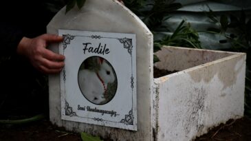 Ölen tavşanları “Fadile” için mermer mezar yaptırdılar