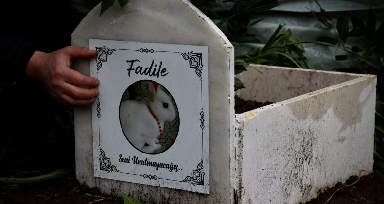 Ölen tavşanları “Fadile” için mermer mezar yaptırdılar