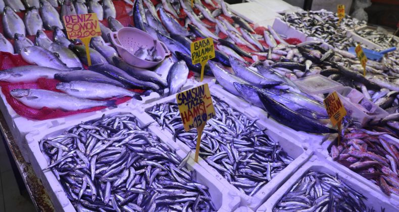 Samsun’da hamsinin kilogramı 130 ila 200 lira arasında satılıyor