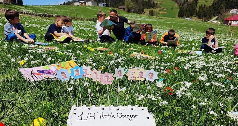 Trabzon’da ilkokul 1. sınıf öğrencileri yayla çiçekleri arasında kitap okudu