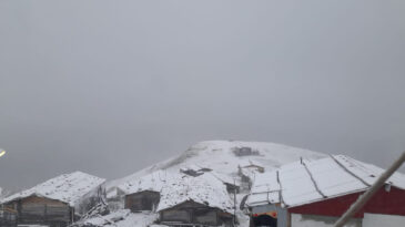 Artvin’de yaylalara kar yağdı