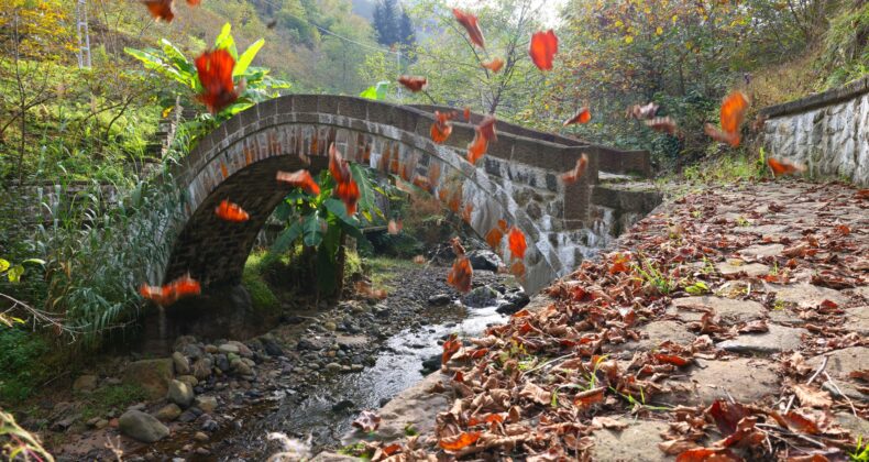 Sonbaharda Bir Başka Güzelsin Yomra!