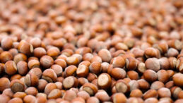 Ferrero Değerli Tarım Programı, Tedarik Zincirinin Dayanıklılığını Güçlendirdi