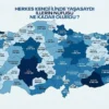 TÜİK simülasyonu yayınlandı: Herkes memleketine dönse ne olurdu?