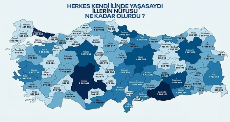 TÜİK simülasyonu yayınlandı: Herkes memleketine dönse ne olurdu?